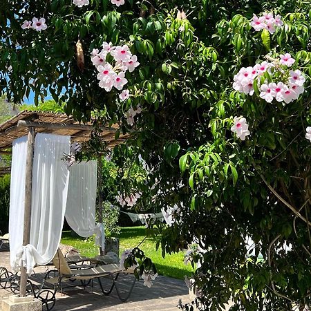 Masseria Casina Montana Corigliano dʼOtranto Kültér fotó