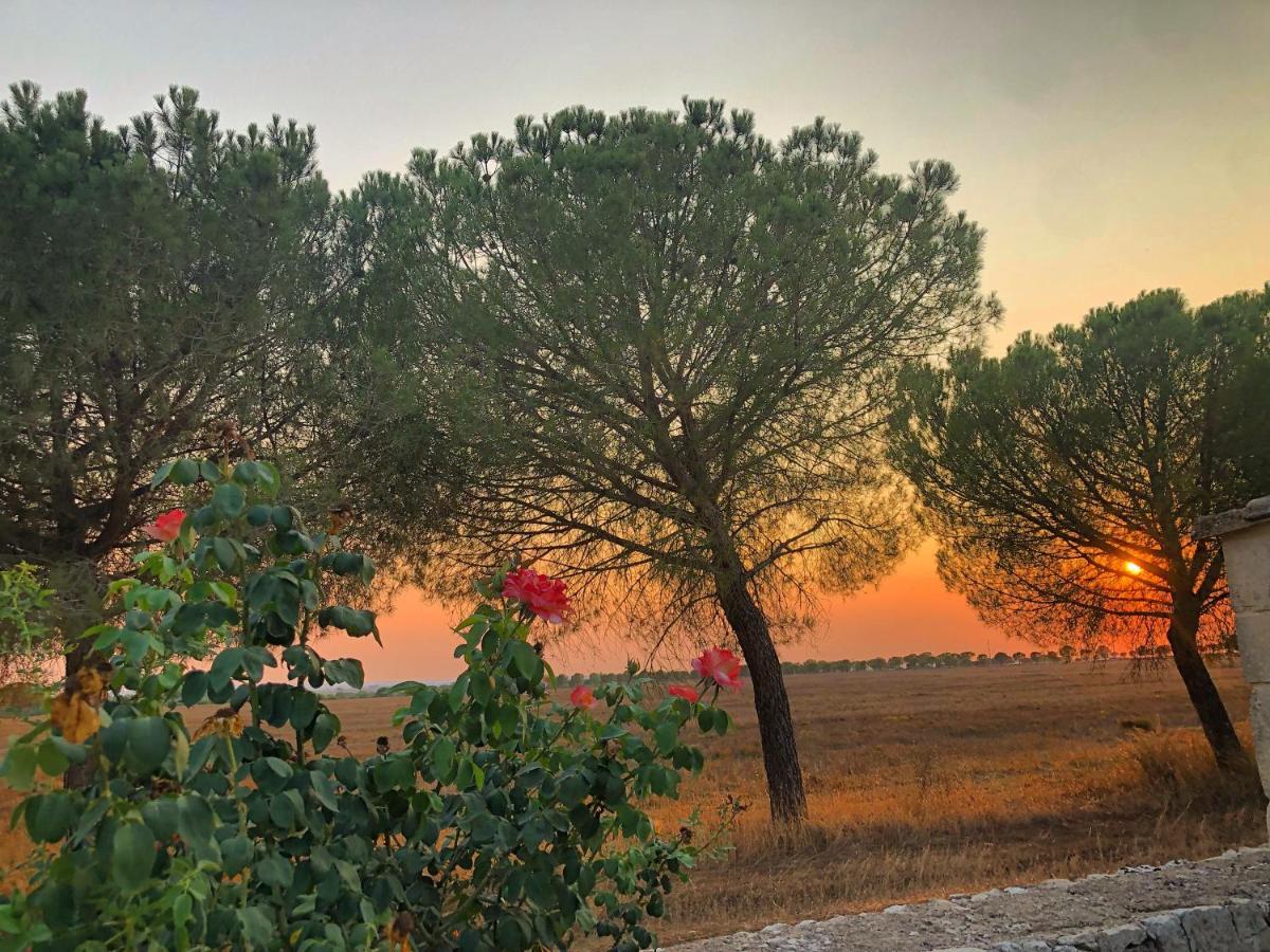 Masseria Casina Montana Corigliano dʼOtranto Kültér fotó
