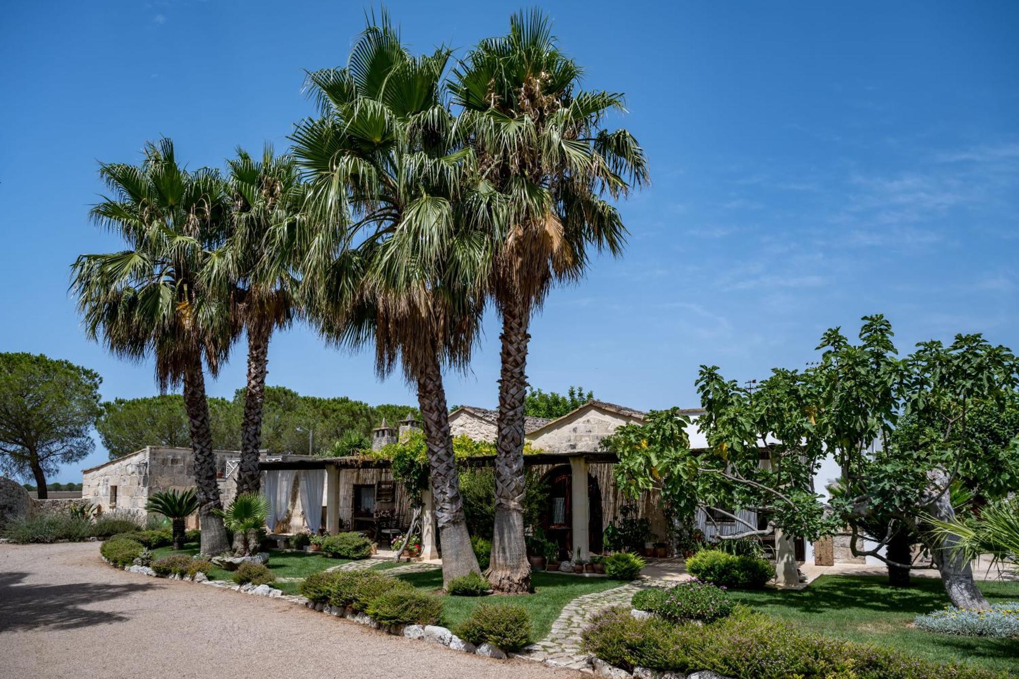 Masseria Casina Montana Corigliano dʼOtranto Kültér fotó