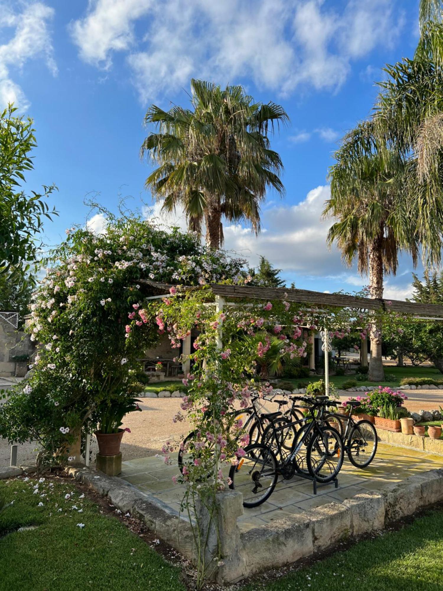 Masseria Casina Montana Corigliano dʼOtranto Kültér fotó