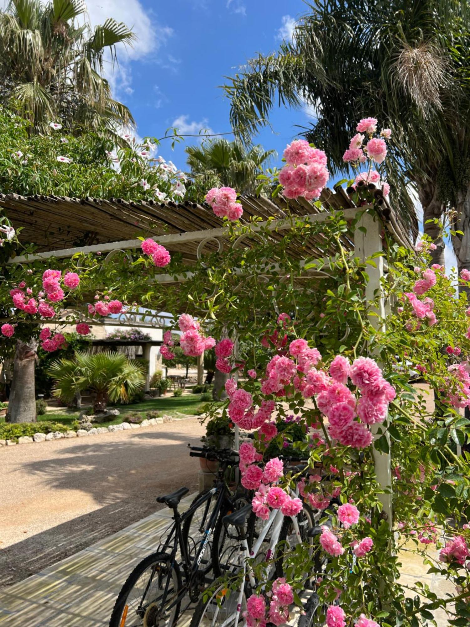 Masseria Casina Montana Corigliano dʼOtranto Kültér fotó