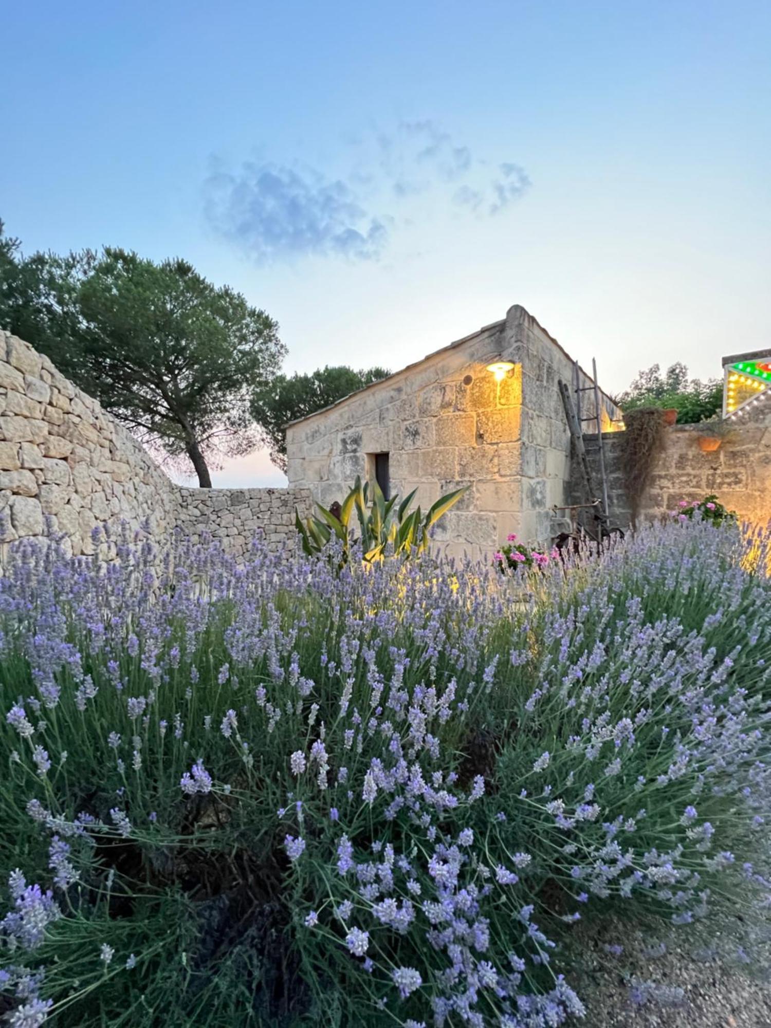 Masseria Casina Montana Corigliano dʼOtranto Kültér fotó