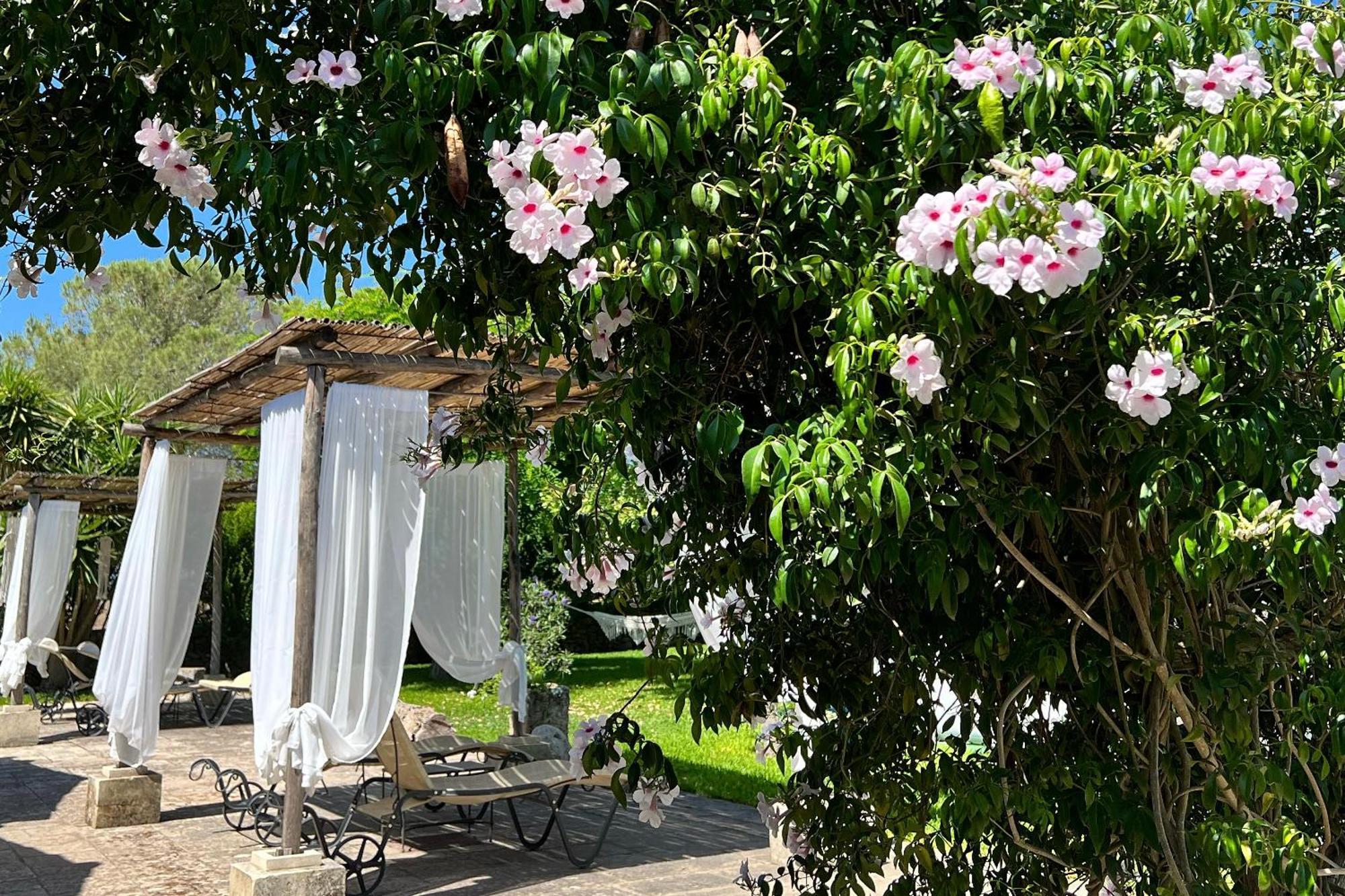 Masseria Casina Montana Corigliano dʼOtranto Kültér fotó